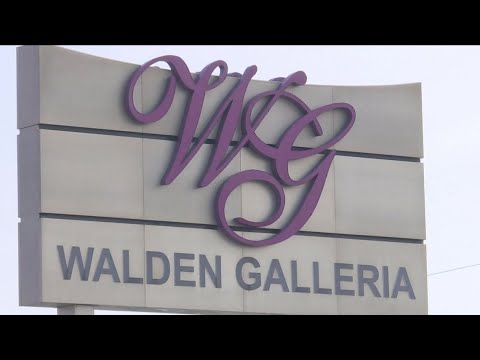 Cheektowaga Police are investigating an abduction at Walden Galleria