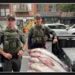 Illegal Sale of Large Fish Results in Fine for Seller in New York