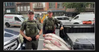 Illegal Sale of Large Fish Results in Fine for Seller in New York