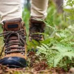 Man falls 50 feet during a trek with his daughter at Oregon waterfall