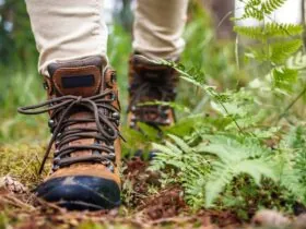 Man falls 50 feet during a trek with his daughter at Oregon waterfall