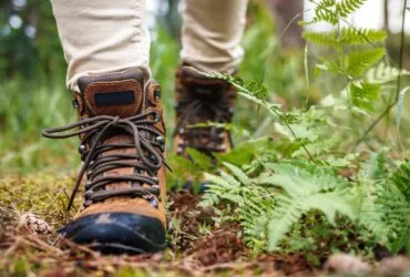 Man falls 50 feet during a trek with his daughter at Oregon waterfall