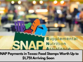 SNAP Payments in Texas: Food Stamps Worth Up to $1,751 Arriving Soon