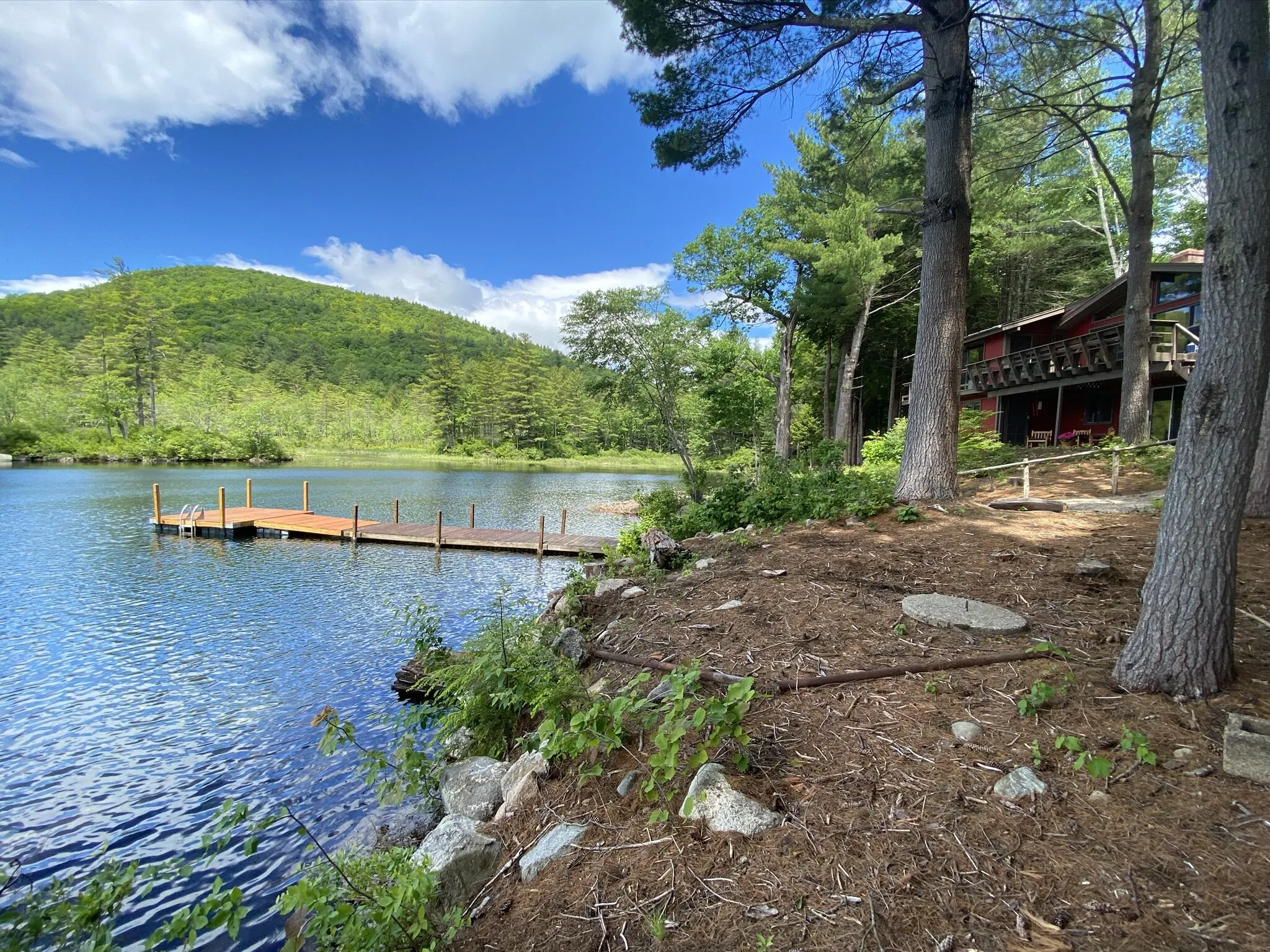 Squam Lake: A Tranquil Habitat for Snakes and Wildlife