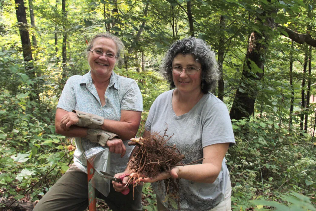 Wealth of Forest Botanicals Above Appalachian Coalfields Now Farmed and Conserved by Locals