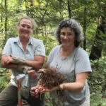 Wealth of Forest Botanicals Above Appalachian Coalfields Now Farmed and Conserved by Locals