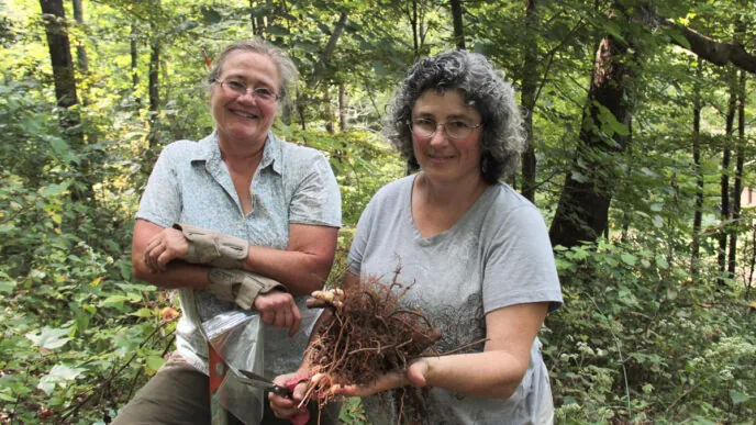 Wealth of Forest Botanicals Above Appalachian Coalfields Now Farmed and Conserved by Locals