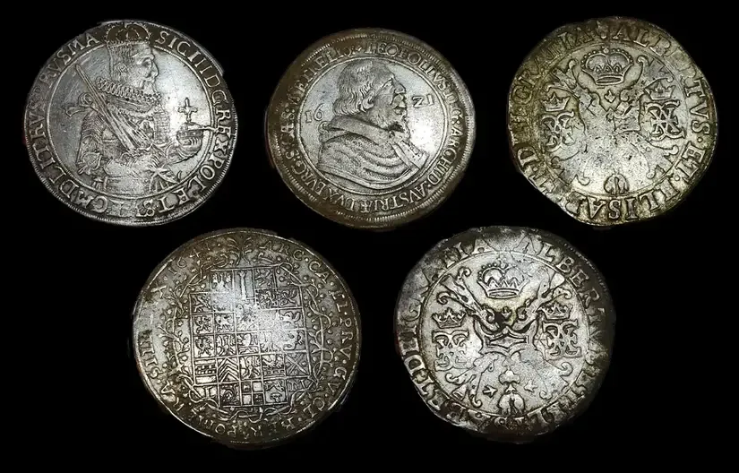 Hoard of Rare 16th and 17th-Century Coins Found Near Pomiechówek in Poland