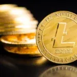 Litecoin Joins the Meme Coin Craze