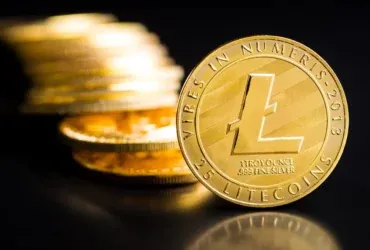 Litecoin Joins the Meme Coin Craze