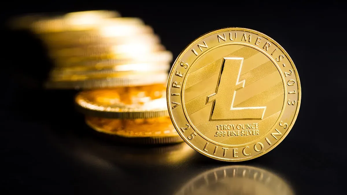 Litecoin Joins the Meme Coin Craze