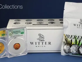 Mystery box find comes to GreatCollections auction