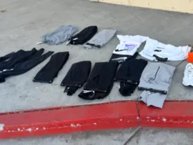 California Authorities Arrest 117 in Statewide Retail Theft Operation