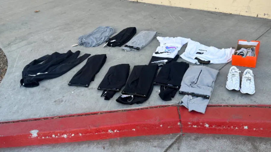 California Authorities Arrest 117 in Statewide Retail Theft Operation