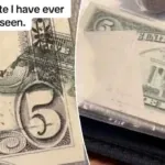 Grandson’s $5 Inheritance is Worth $400K, The Rare Find That’s Changing His Life