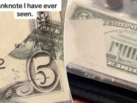 Grandson’s $5 Inheritance is Worth $400K, The Rare Find That’s Changing His Life