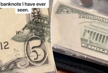 Grandson’s $5 Inheritance is Worth $400K, The Rare Find That’s Changing His Life