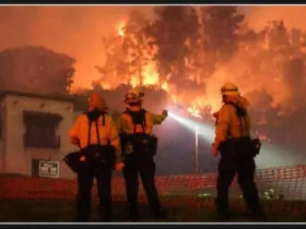 Fire chief warns that Hollywood Hills fire is spreading quickly