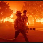 Japan commits $2 million to support victims of California wildfires