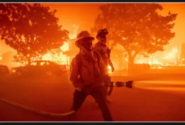 Japan commits $2 million to support victims of California wildfires