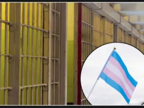 New York proposes law to grant gender transition surgery to transgender prisoners