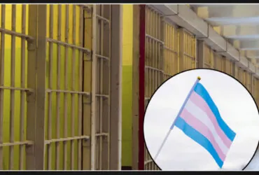 New York proposes law to grant gender transition surgery to transgender prisoners