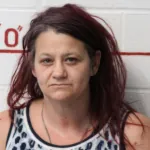 Morrisdale Woman Pleads Guilty To Major Fentanyl And Meth Charges