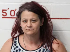 Morrisdale Woman Pleads Guilty To Major Fentanyl And Meth Charges