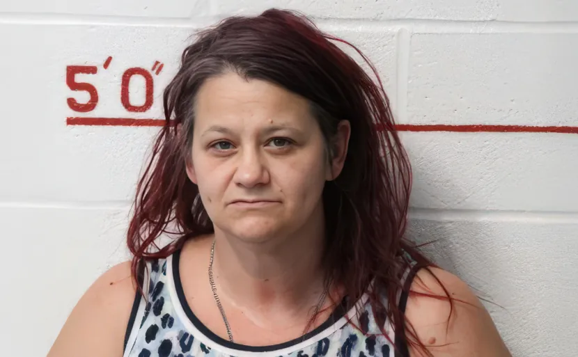 Morrisdale Woman Pleads Guilty To Major Fentanyl And Meth Charges