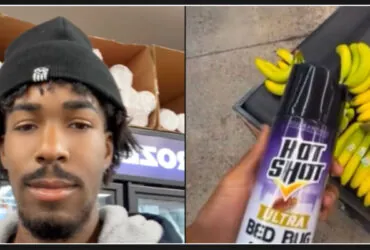 TikTok User Charged with Spraying Pesticide as a Prank in Grocery Store