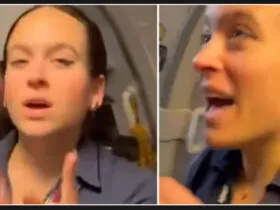 Video shows American Airlines passenger angrily confronting flight attendant over pro-Palestinian pin